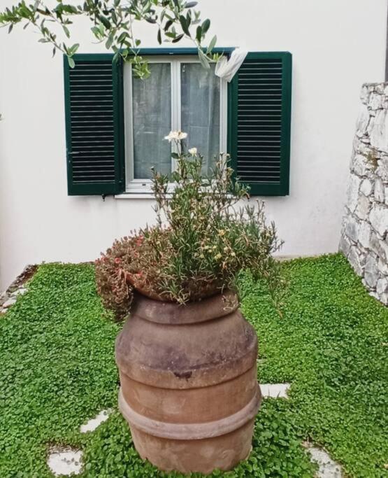 Appartement La Piazzetta Di Gra E Baldo à Sestri Levante Extérieur photo